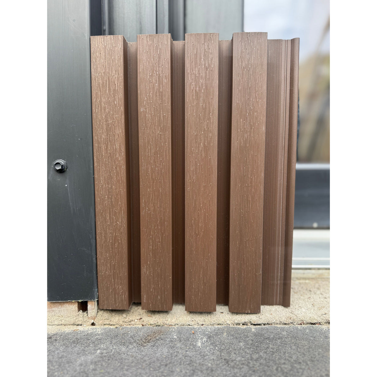 Walnut.1
