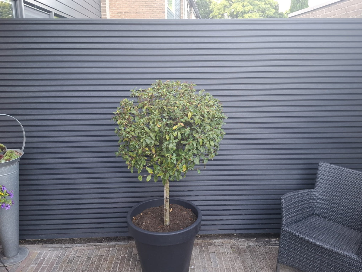 Composiet Gevelbekleding -Dark Grey